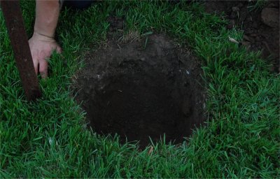 On creuse le trou pour mettre la motte de l'arbre compl�tement